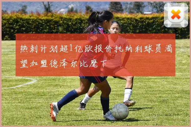 热刺计划超1亿欧报价托纳利球员渴望加盟德泽尔比麾下