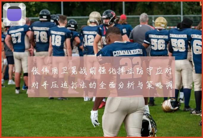 张伟丽卫冕战前强化摔法防守应对对手压迫打法的全面分析与策略调整